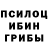 Галлюциногенные грибы мицелий daza Smit