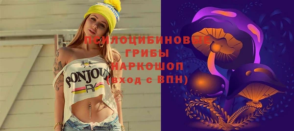 винт Аркадак
