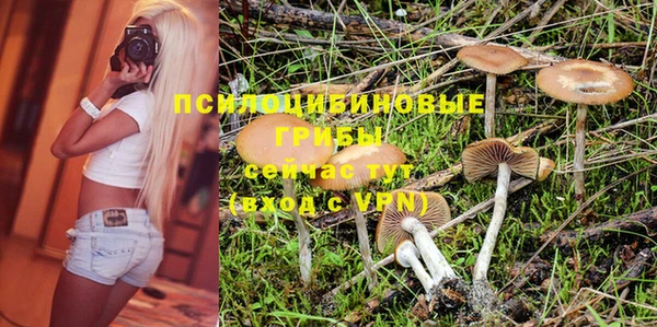 МДМА Арсеньев