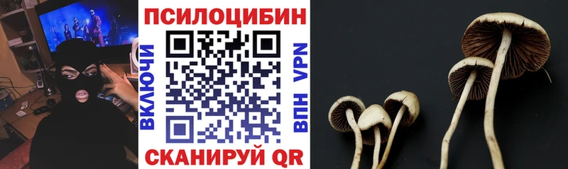 Псилоцибиновые грибы ЛСД Саяногорск