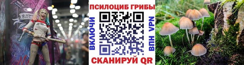 Псилоцибиновые грибы ЛСД  Саяногорск 