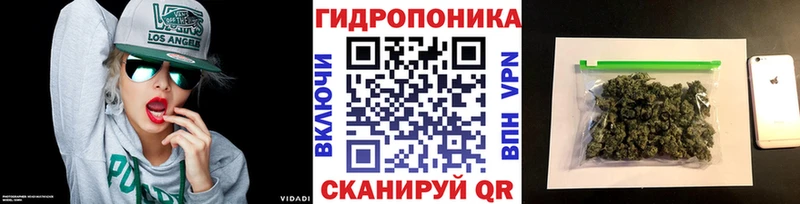 Бошки марихуана планчик  Саяногорск 